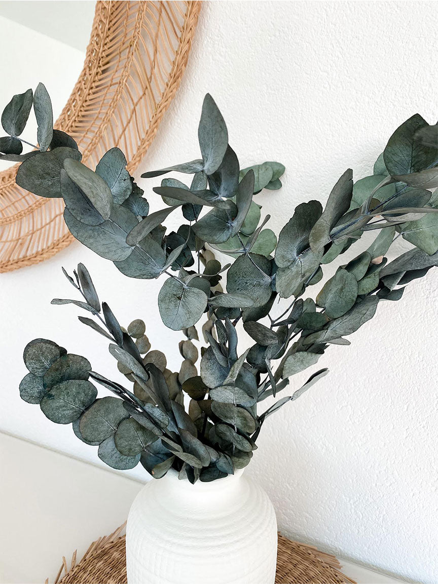 Deko Eukalyptus grün von Soli Collection
