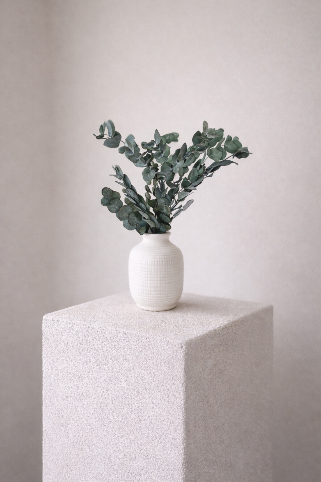 Eukalyptus, 40-55 cm, Grün