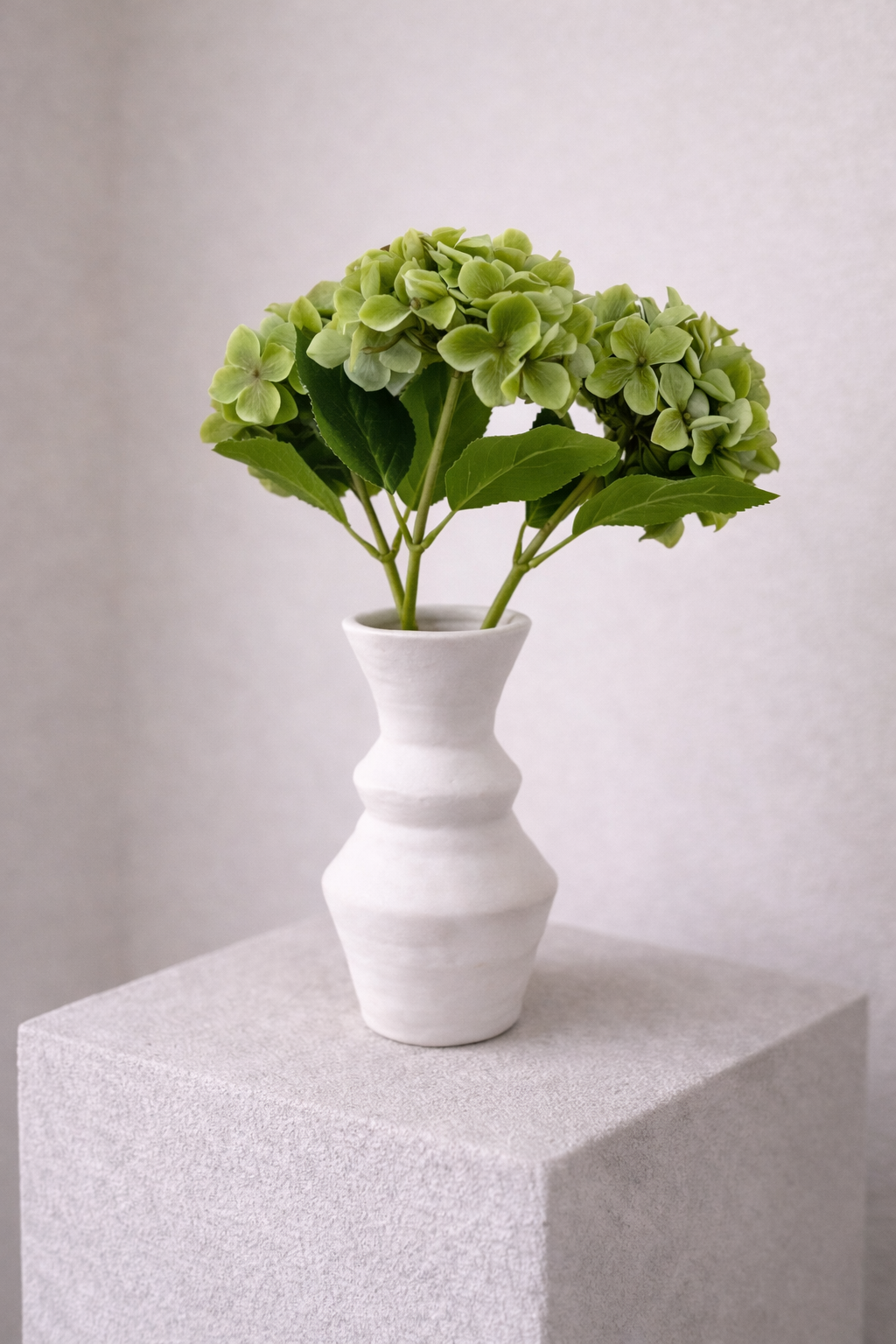 Hortensien, grün, 3 Stück