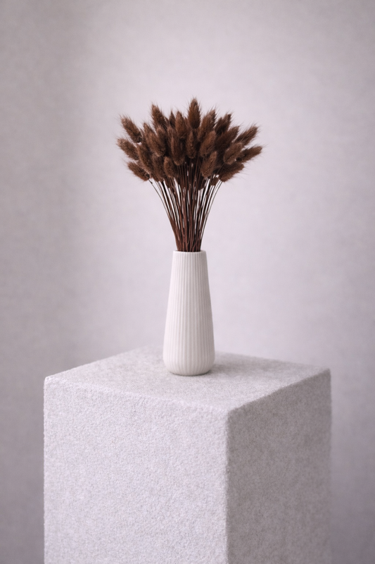 Lagurus braun, 50 Stück, 50-60 cm