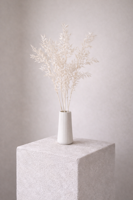 Ruscus in weiss von Soli Collection