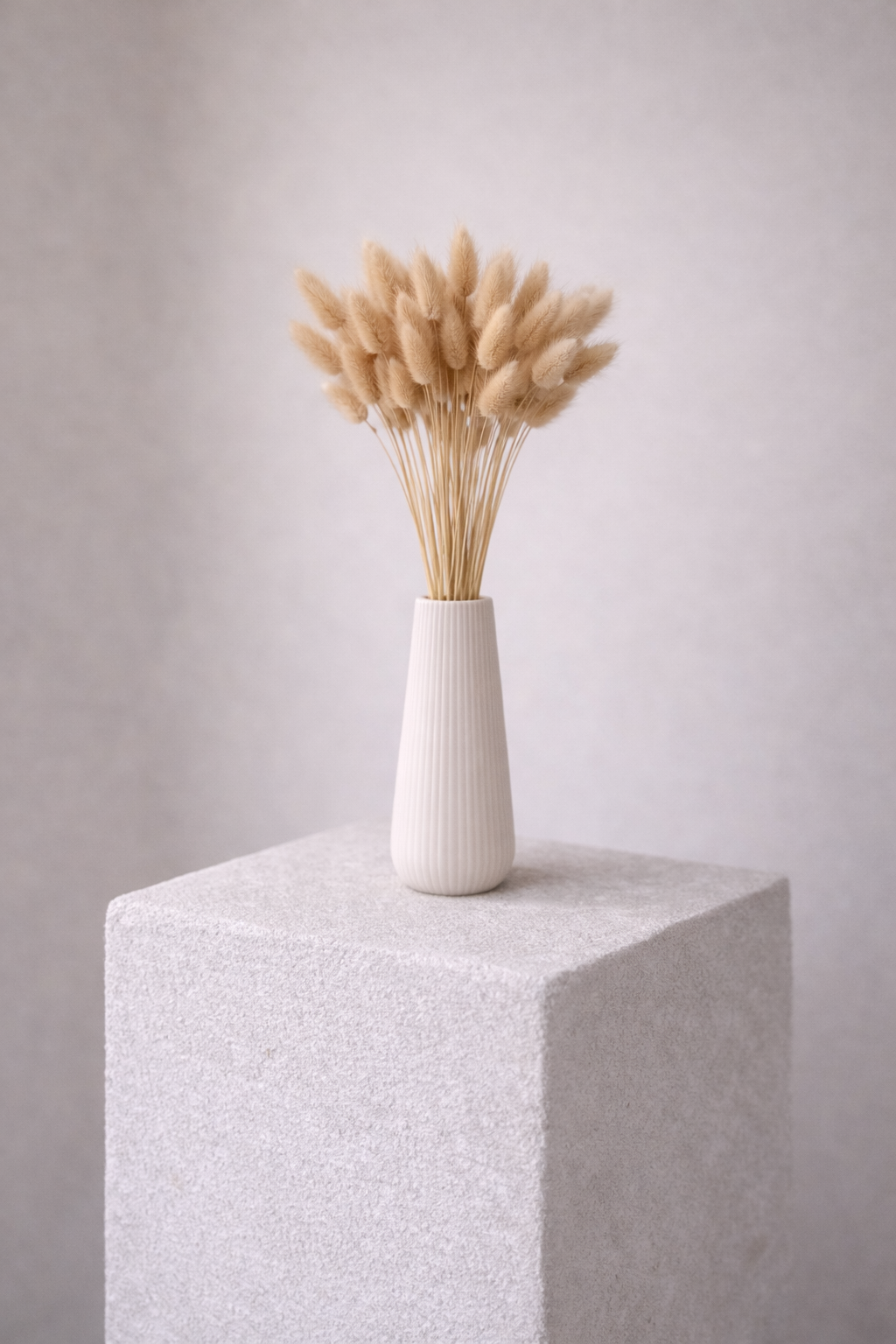 Lagurus natur, 50 Stück, 50-60 cm, Naturfarben