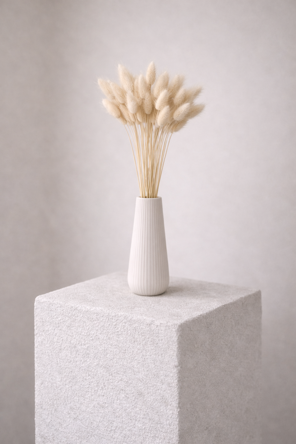 Lagurus weiss, 50 Stück, 50-60 cm