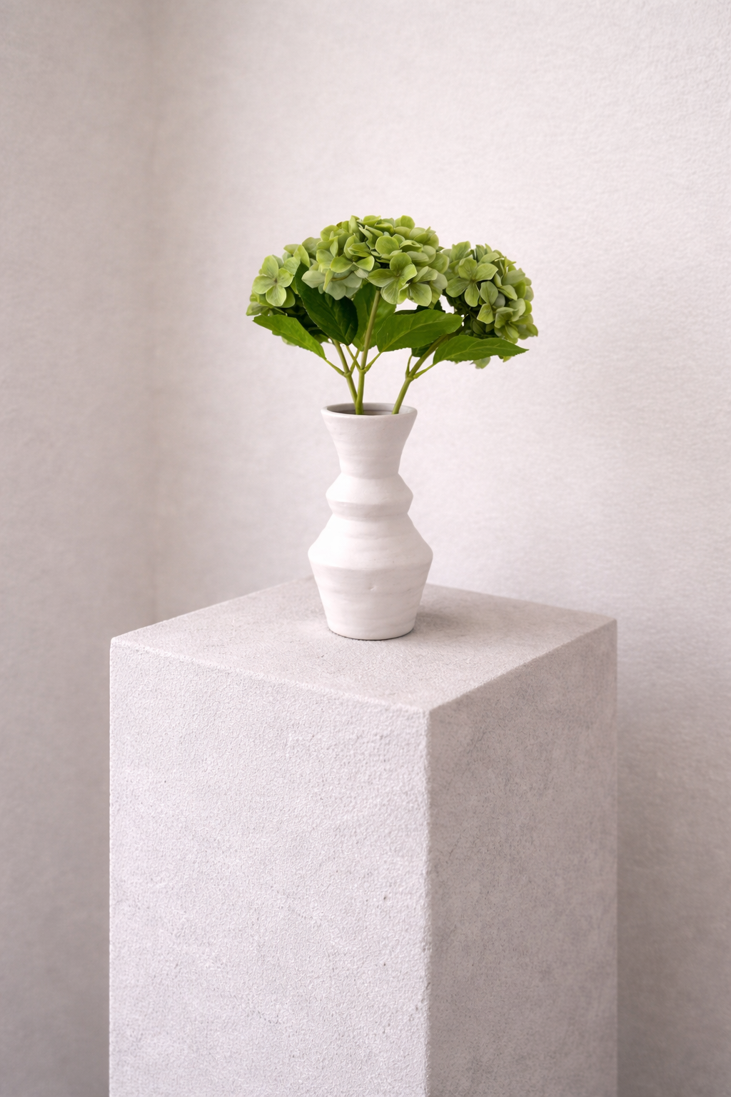 Hortensien, grün, 3 Stück