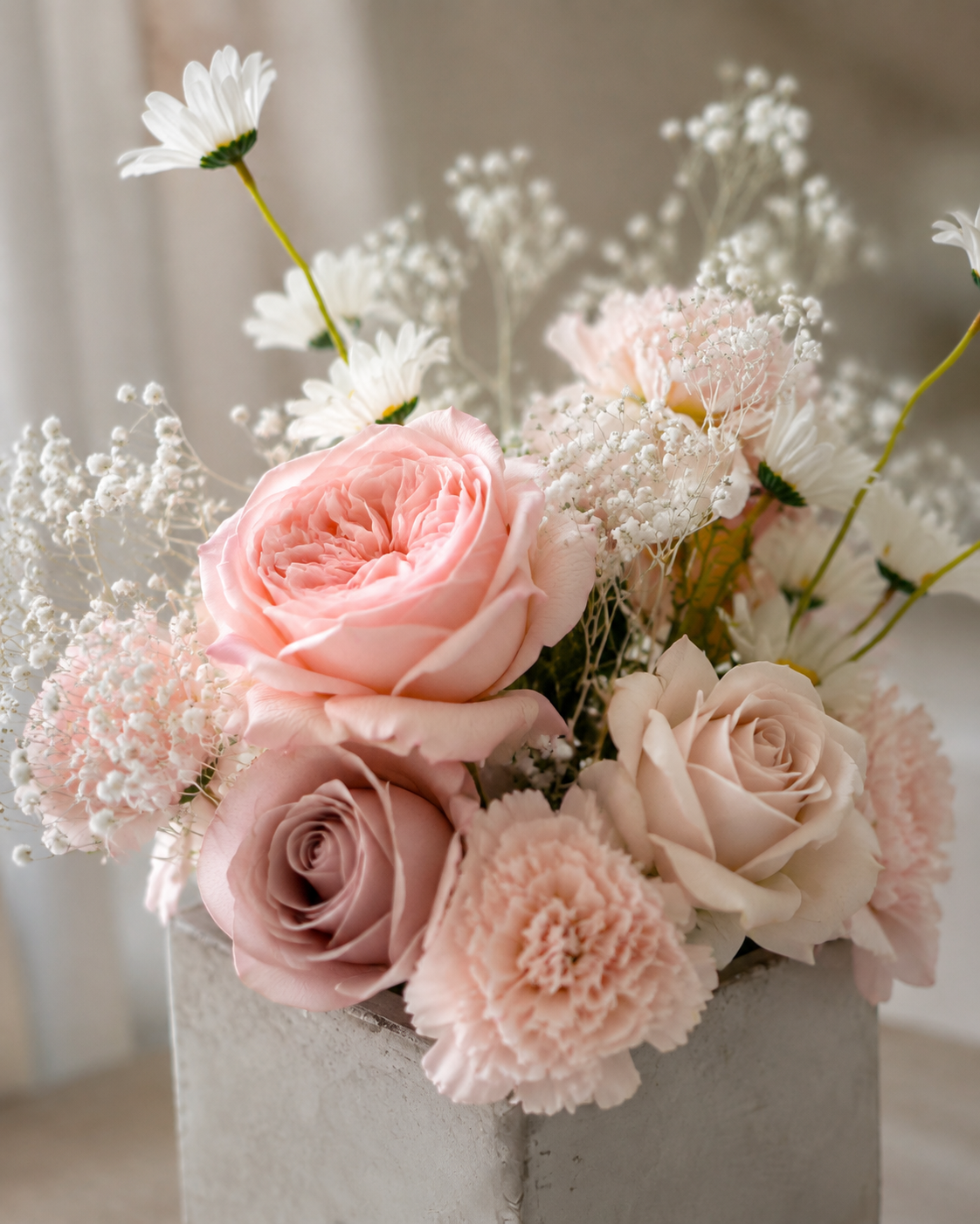 Detailaufnahme von Rosen, Margeriten und Schleierkraut im Betontopf